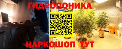 гидра Краснодар
